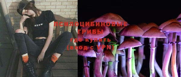COCAINE Горно-Алтайск