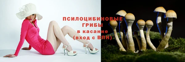 экстази Горняк