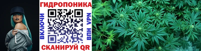 Канабис гибрид  Купить где  Наро-Фоминск 